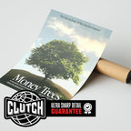 Kendrick Lamar 'Money Trees' Poster