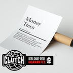 Kendrick Lamar 'Money Trees' Poster